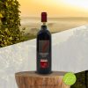 Organic Chianti Colli Senesi red wine DOCG